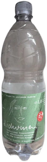 Lidwinen Medium PETCycle Kasten 12x1l