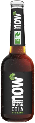 Now Cola Kasten 10x0,33l