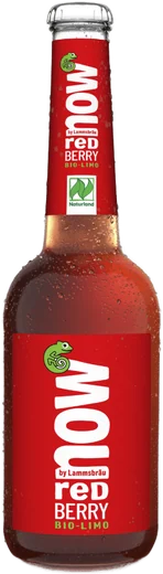Now Red Berry Kasten 10x0,33l