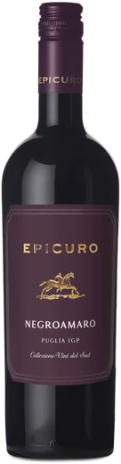 Epicuro Negroamaro IGT Flasche 0,75l